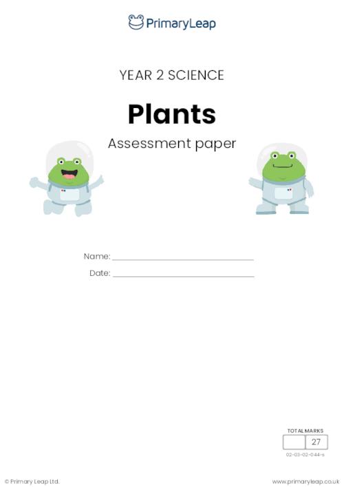 Y2 Plants assessment
