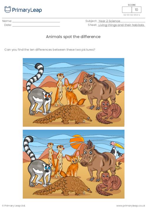 Animals spot the difference