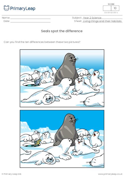 Seals spot the difference