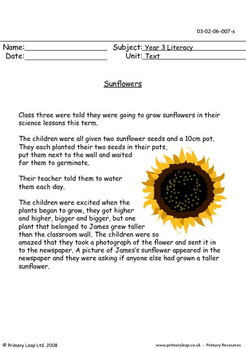 Reading Comprehension - Sunflowers
