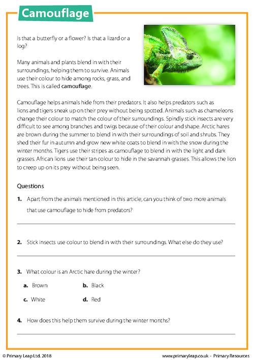 Reading Comprehension - Camouflage