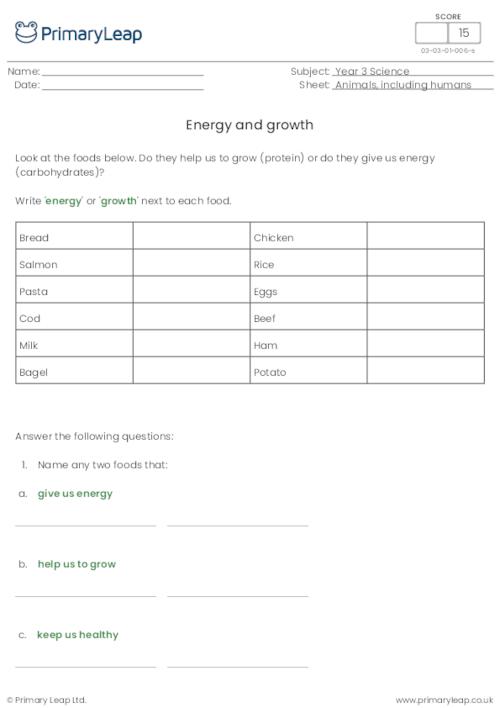 science energy and growth worksheet primaryleap co uk