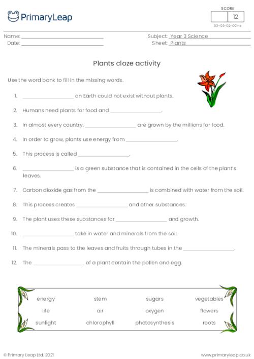 year 3 science printable resources free worksheets for kids