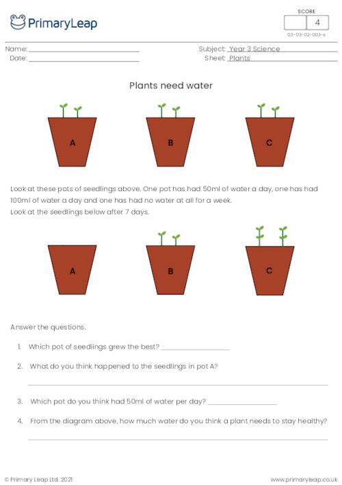 what-do-plants-need-to-grow-worksheet-ks1-worksheets-for-kindergarten