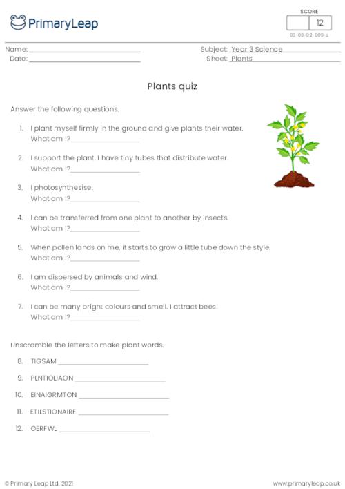 Science: Plants quiz | Worksheet 