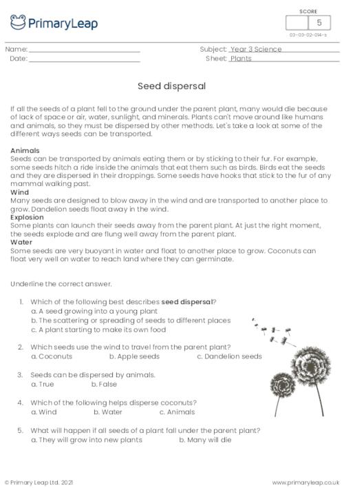 Seed dispersal questions