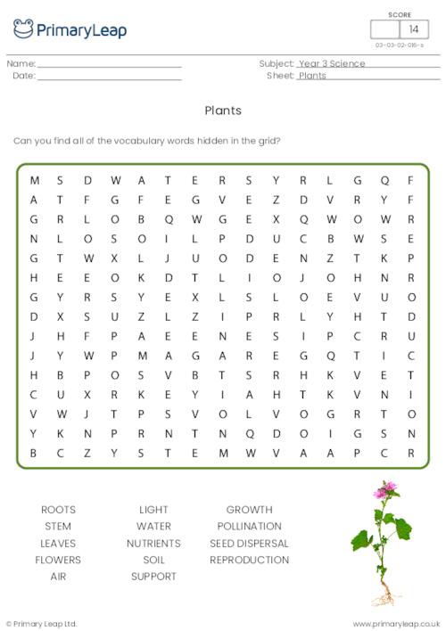 science-y3-plants-word-search-worksheet-primaryleap-co-uk