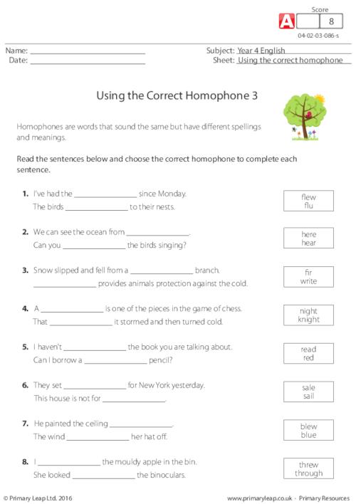 Using the Correct Homophone 3