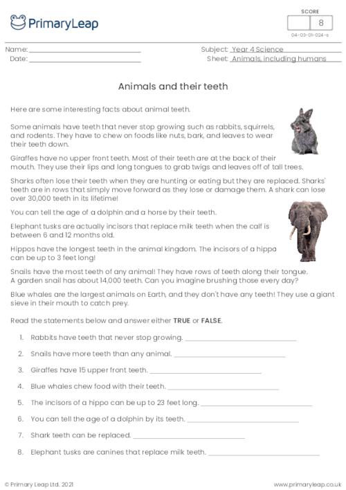 Science: Animal teeth fun facts | Worksheet 