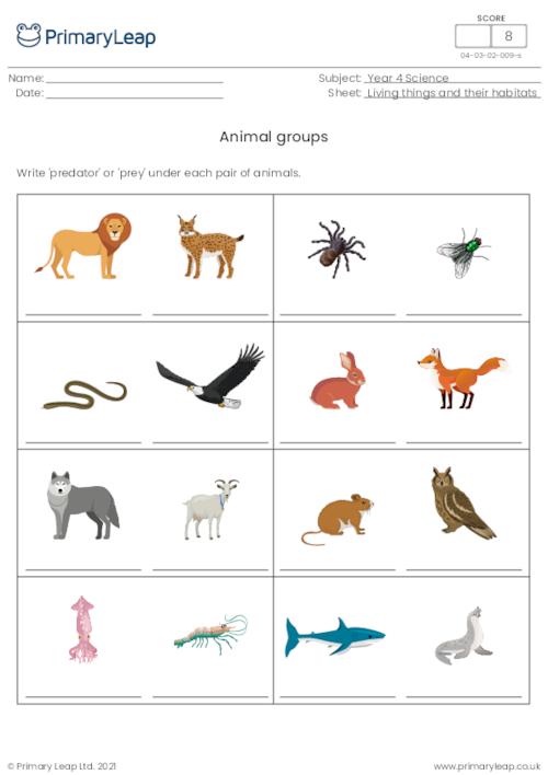 Science: Animal groups 4 | Worksheet 
