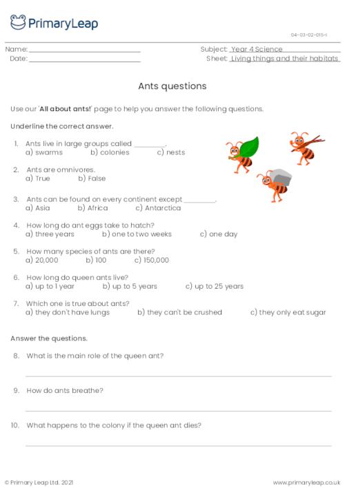 Questions on ants