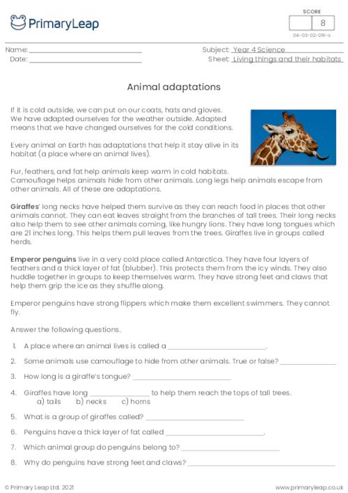 Science: Animal Adaptations | Worksheet 