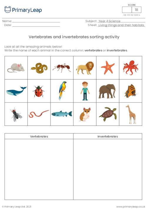 Vertebrates/invertebrates sorting activity