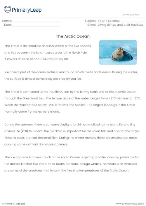 The Arctic Ocean reading comprehension