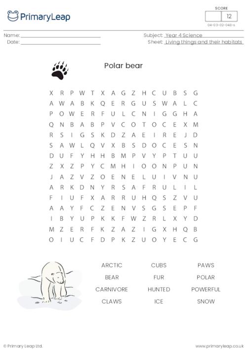 Polar bear word search
