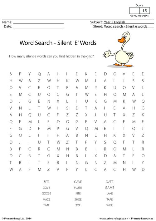 Word Search - Silent E Words