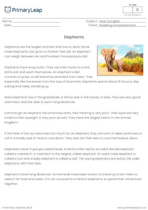 Comprehension - Elephants