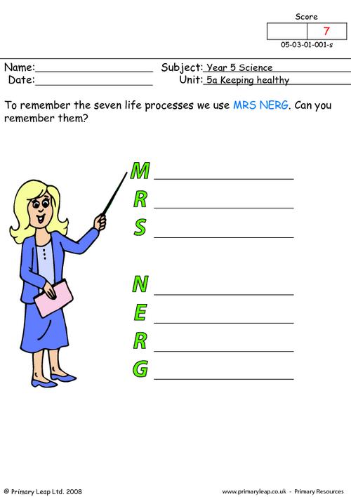 Mrs Nerg - the seven life processes