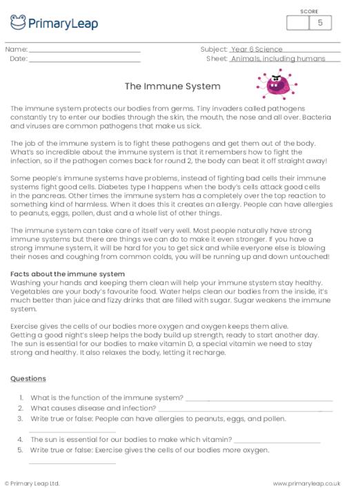 Reading comprehension - The immune system