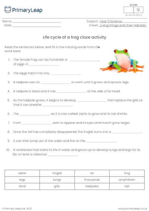 Life Cycle of a Frog - Cloze Exercise