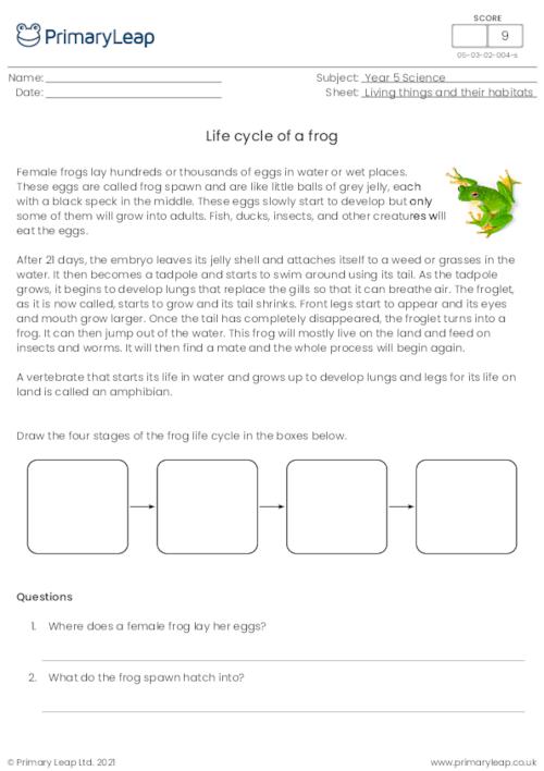 Life cycle of a frog questions