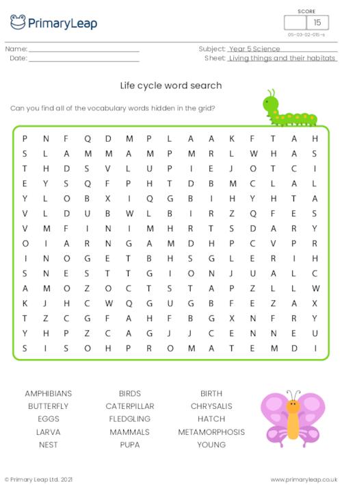 Life cycles word search