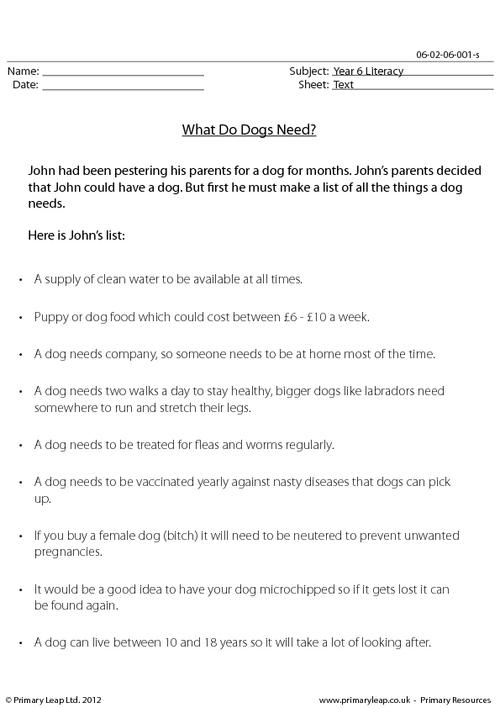 What Do Dogs Need?