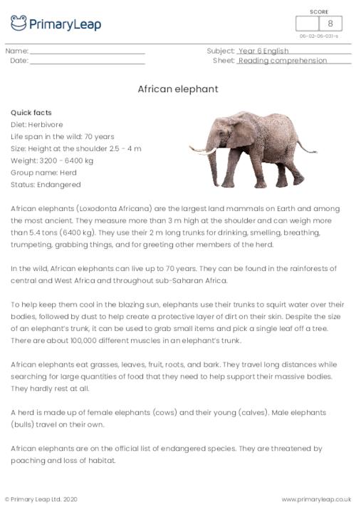 Reading comprehension - African elephant