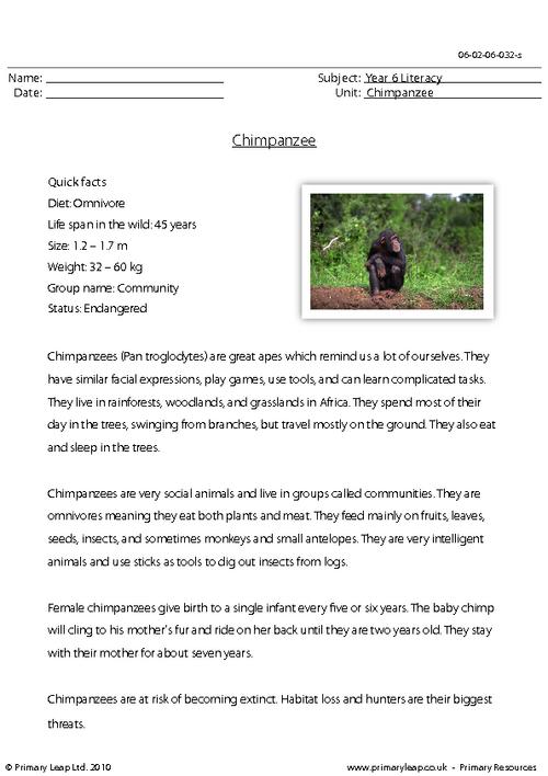 Reading comprehension - Chimpanzee