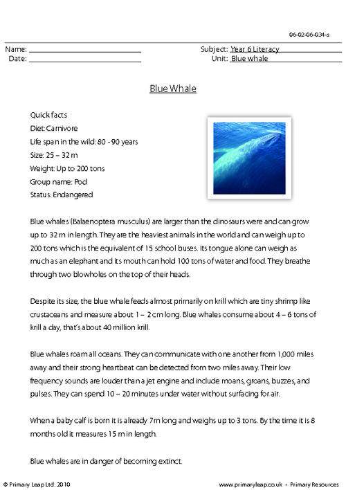 Reading comprehension - Blue whale