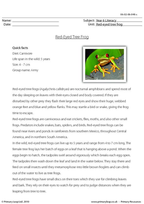 Reading comprehension - Red-eyed tree frog