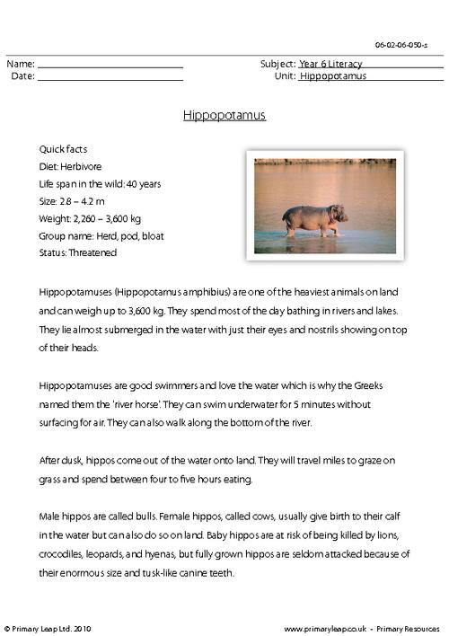 Reading comprehension - Hippopotamus