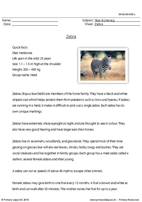 Reading comprehension - Zebra