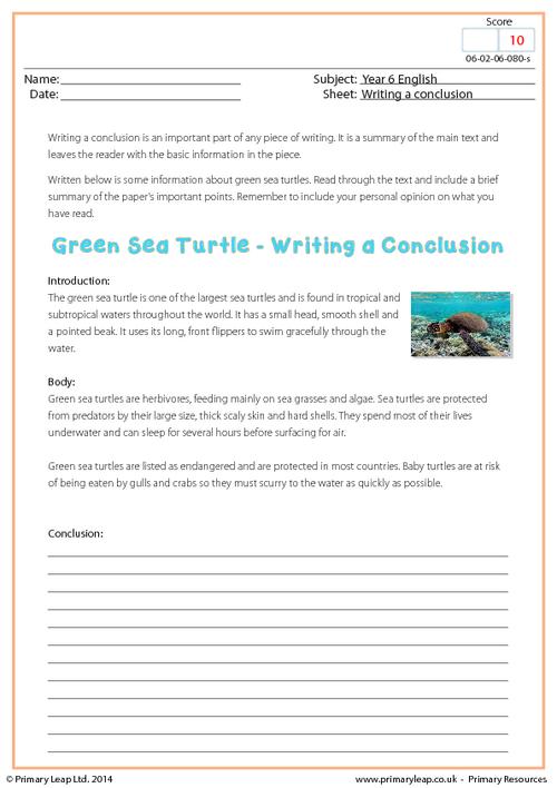 Writing a Conclusion - Green Sea Turtle