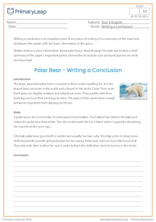 Writing a Conclusion - Polar Bears