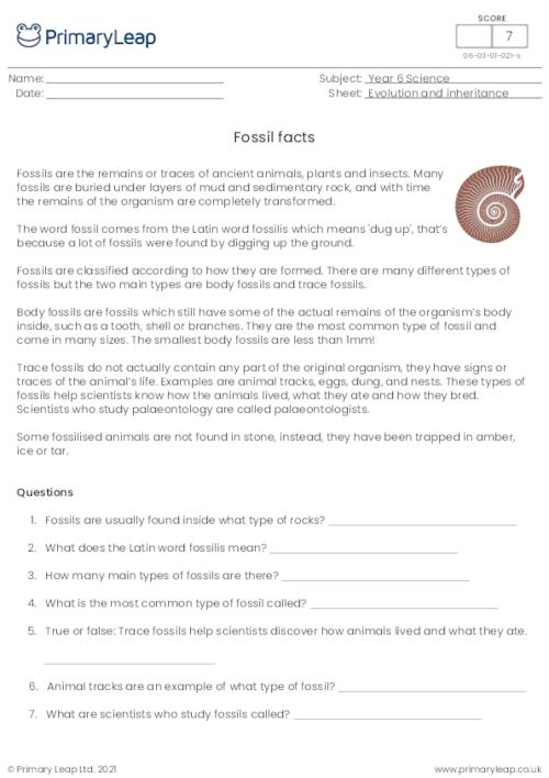 Reading comprehension - Fossils