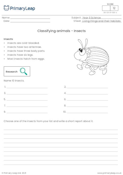 Classifying animals - Insects