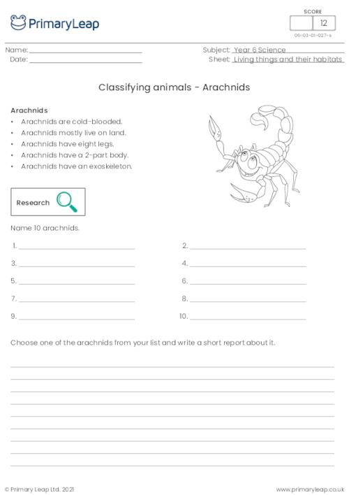 Classifying animals - Arachnids