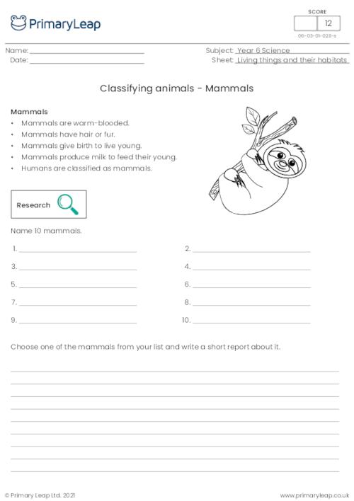 Classifying animals - Mammals