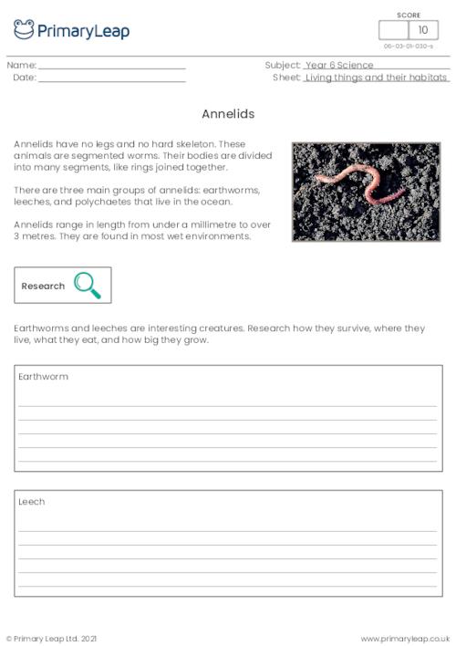 Invertebrates - Annelids