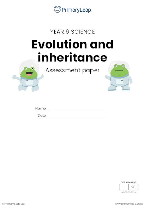 Y6 Evolution and inheritance assessment