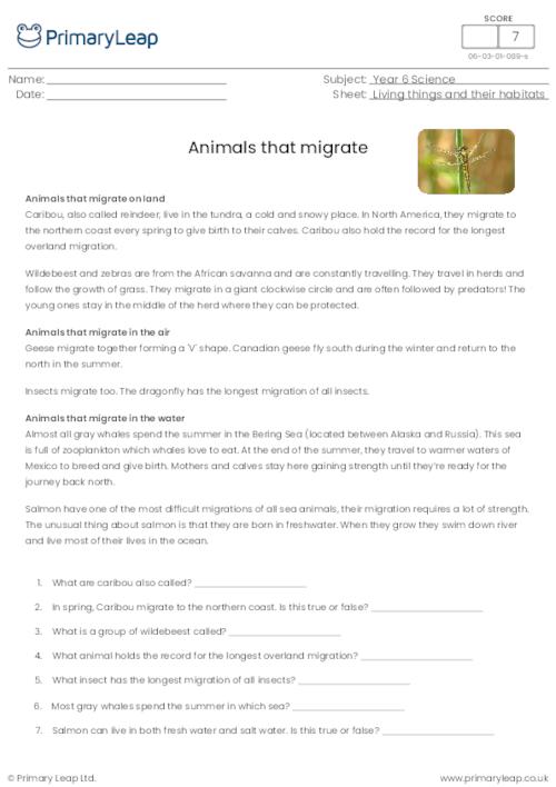 Animals that migrate comprehension