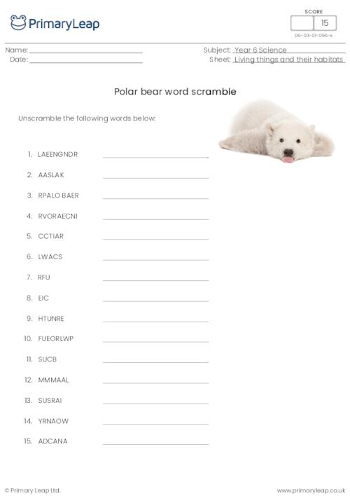 Polar bear word scramble