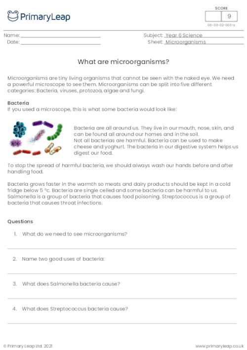 What are microorganisms?
