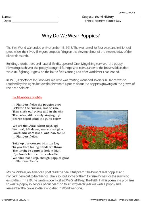 Why Do We Wear Poppies?