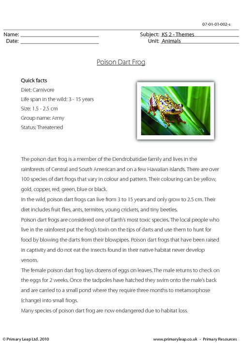 Poison dart frog comprehension