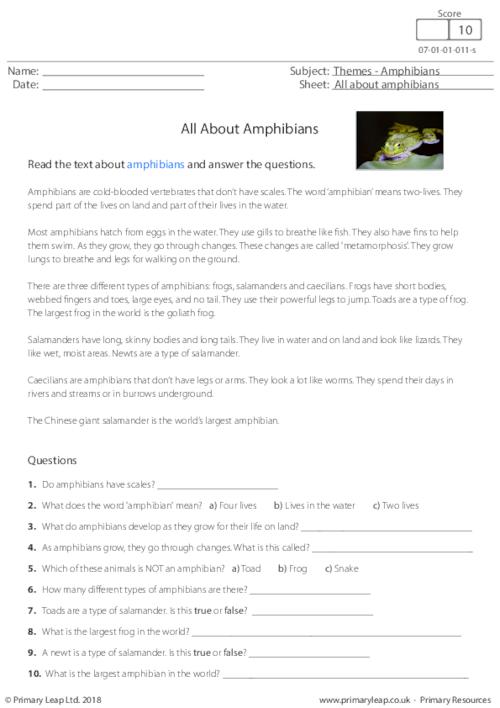 Reading Comprehension - All About Amphibians