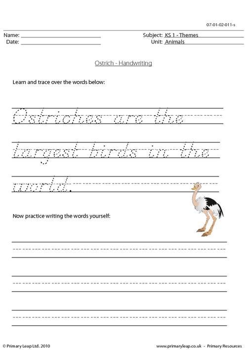Ostrich handwriting