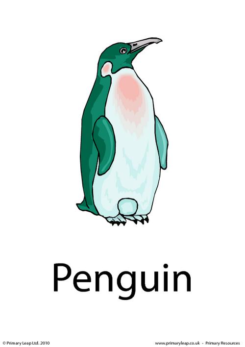 Penguin flashcard 2