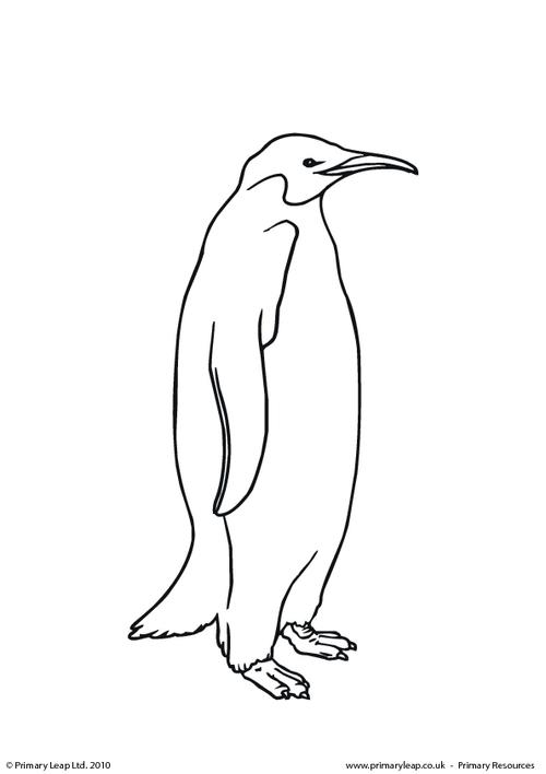 Penguin colouring page 1